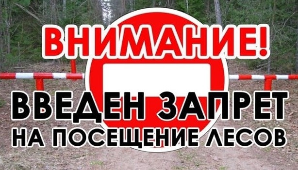 Жителям Нефтеюганска запретили посещать леса