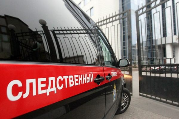 Следственный комитет инициировал проверку после нападения собаки на ребенка в Сургутском районе