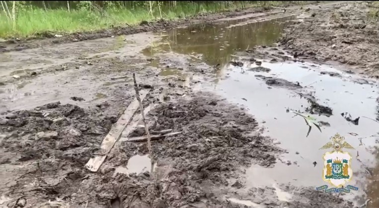 Двое детей в Пыть-Яхе увязли в болоте