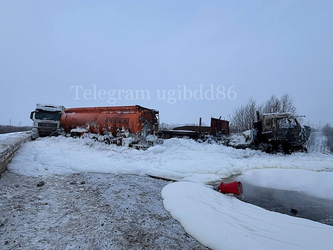 Жителю Омска грозит 5 лет тюрьмы за провокацию смертельного ДТП под Сургутом