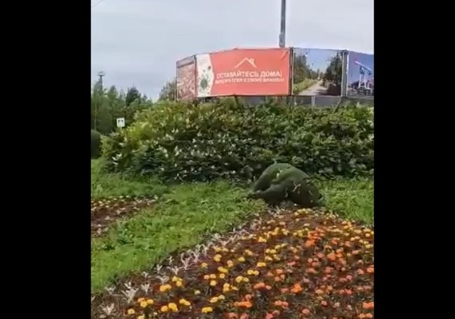 В Лянторе сбили медведя