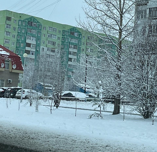 В Нижневартовске выпал снег
