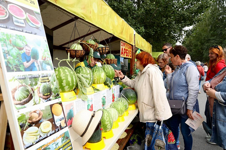 Конкурс «Урожай года» в Сургуте оказался богатым на участников и призы// ФОТО