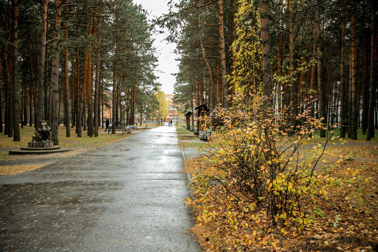 На выходных в Югру вернется тепло