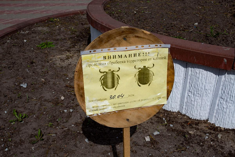 В Сургуте началась борьба с клещами