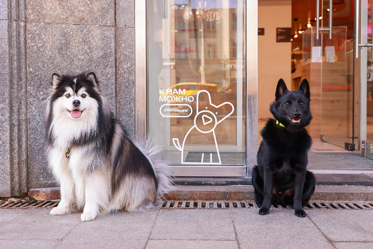 В Югре появились pet-friendly магазины