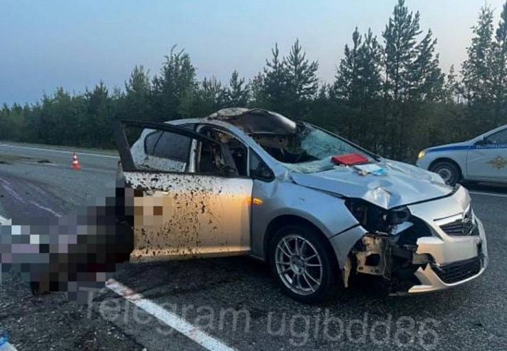 На трассе «Югра» в ДТП с лосем пострадала женщина
