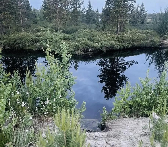 В Когалыме погиб подросток. Он утонул в водоеме дачного кооператива