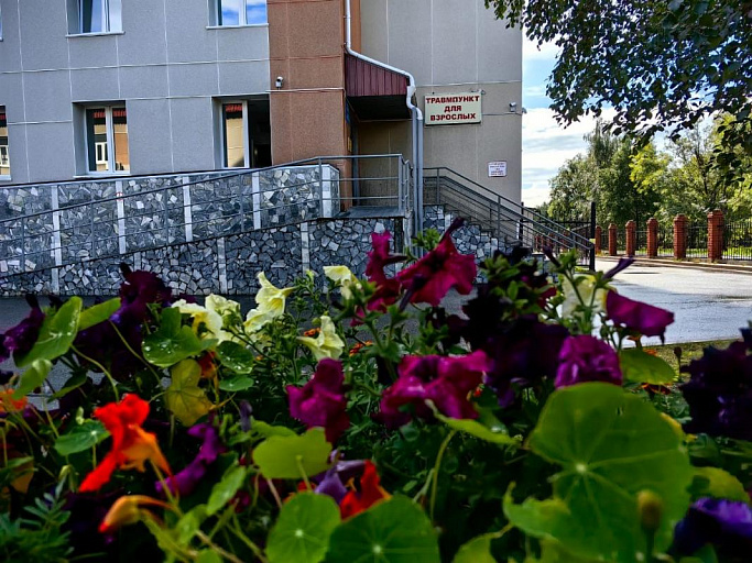 Более 500 человек обратились после укусов животных в Сургутскую травмбольницу