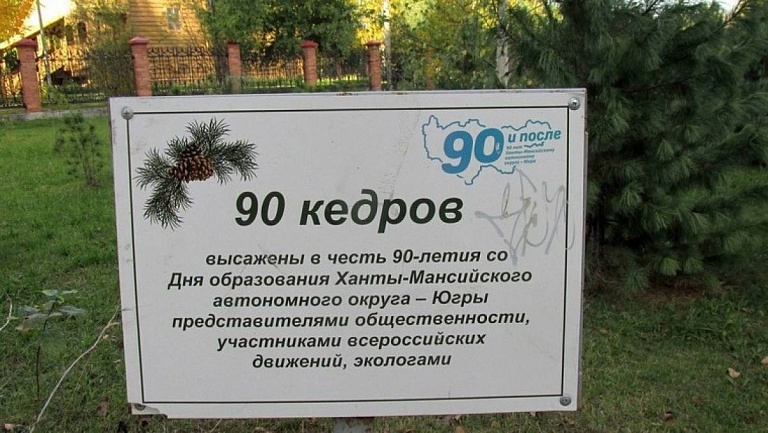 Вандалов, повредивших десятки кедров в Сургуте, привлекут к ответственности 