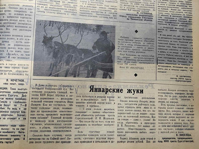 иСТорию пишем вместе: Январские жуки