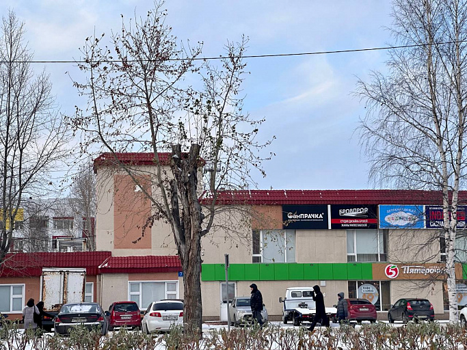 В Сургуте массово обрезают тополя
