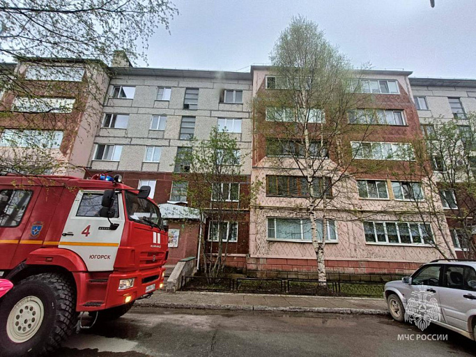В ХМАО в задымленной квартире погибли четыре кошки и собака