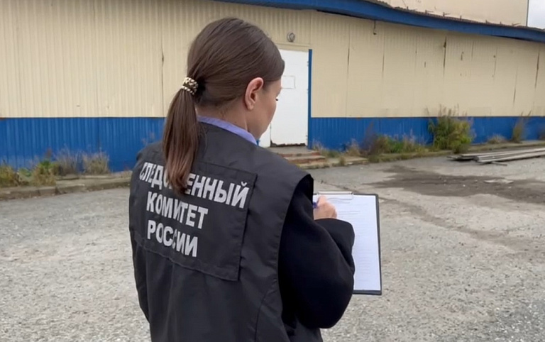 На месте нападения собак на женщину в Нижневартовске работают следователи 