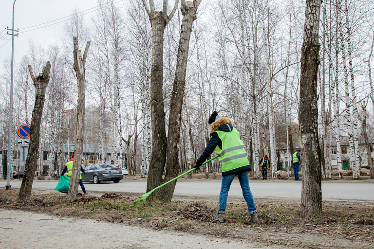 Сургут выходит на уборку: стартуют общегородские субботники