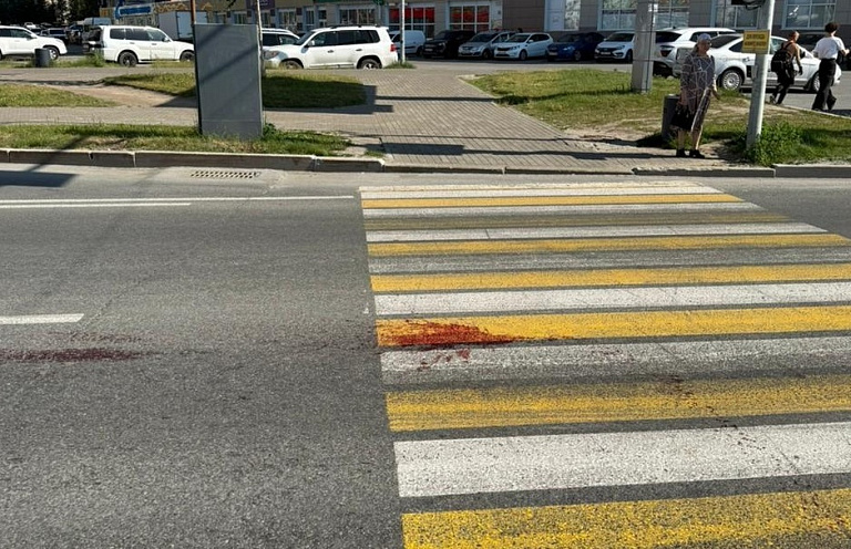 В Сургуте водитель проехал на «красный» и насмерть сбил собаку